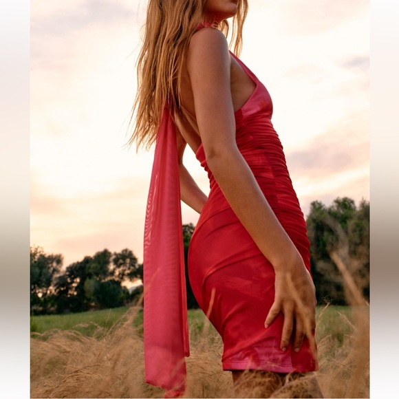 Zara Printed Tulle Dress - Picture 6 of 10